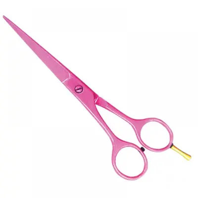 Economy Hair Scissors