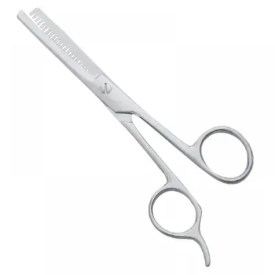 Economy Hair Scissors