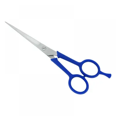 Plastic Handle Scissors