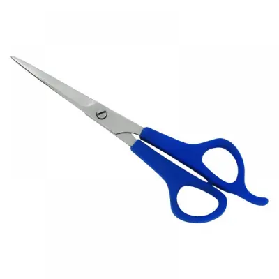 Plastic Handle Scissors