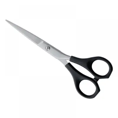 Plastic Handle Scissors