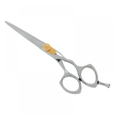 Professional Hair Cutting Scissors