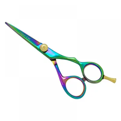 Professional Hair Cutting Scissors