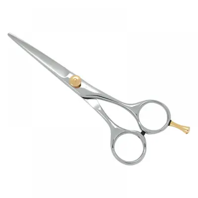 Professional Hair Cutting Scissors