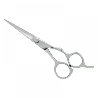 Professional Hair Cutting Scissors