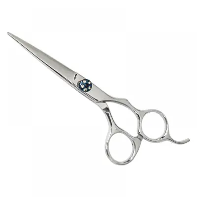 Professional Hair Cutting Scissors