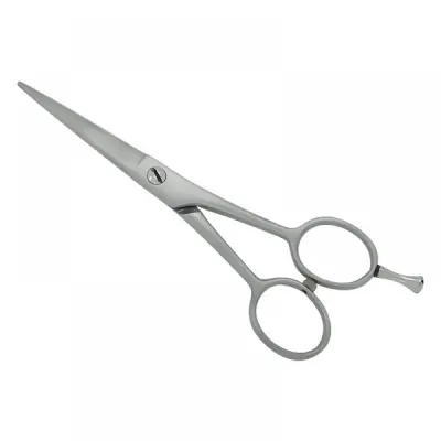Professional Hair Cutting Scissors