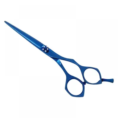 Professional Hair Cutting Scissors