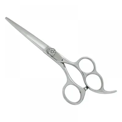 Professional Hair Cutting Scissors