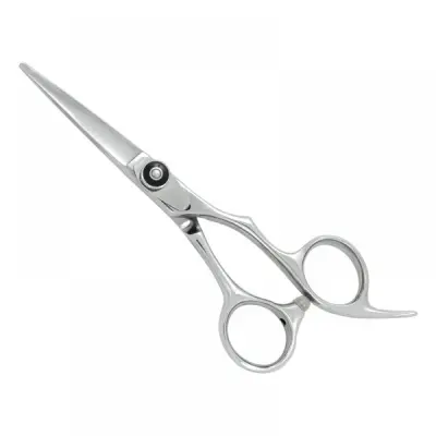 Professional Hair Cutting Scissors